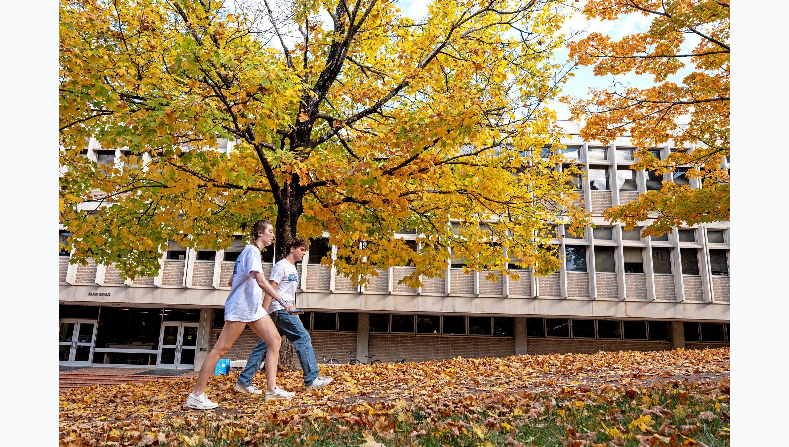 Two UNC-Chapel Hill students walking upward on the sidewalk of Cameron Avenue with a tree with yellow leaves seen in the background.